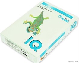 Iq A4 Renkli Kağıt 80 gr 500lü Paket Gül Pembesi